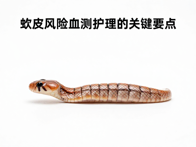 蛇蜕皮期护理,温度计监测与脱皮期不抓握的关键要点