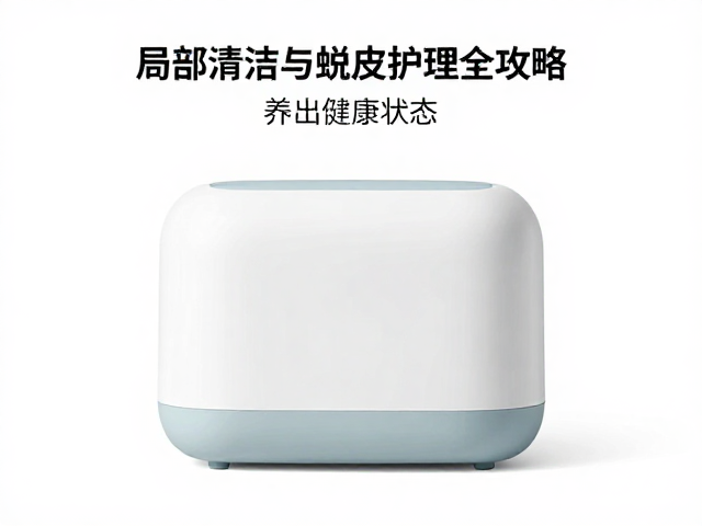 加湿盒怎么用?局部清洁与蜕皮护理全攻略,养出健康状态