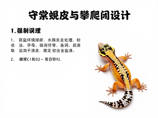 守宫蜕皮护理与攀爬空间设计,重点解析尿盐清理误区