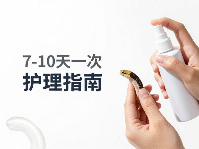 蛇蜕皮护理指南,喷雾保湿技巧,每7-10天一次助顺利蜕皮