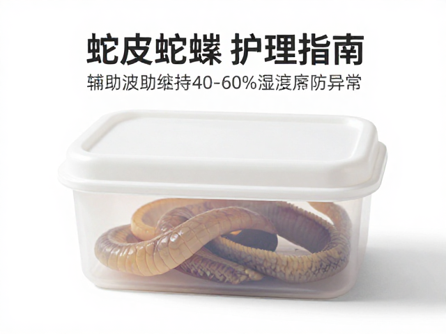 蛇蜕皮护理指南,保湿盒辅助维持40-60%湿度防异常