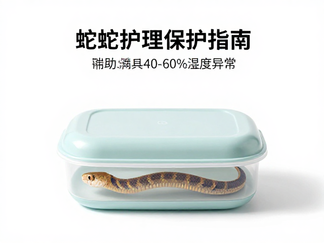 蛇蜕皮护理指南,保湿盒辅助维持40-60%湿度防异常