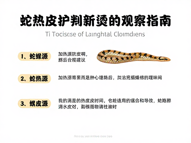蛇蜕皮护理指南,加热源防烫技巧与蜕皮后观察要点