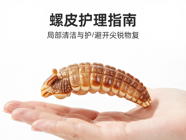 蜕皮护理指南,局部清洁与避开尖锐物,加速肌肤修复