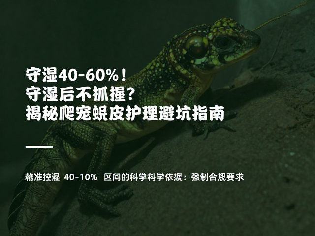 守湿40-60%!喂食后不抓握?揭秘爬宠蜕皮护理避坑指南