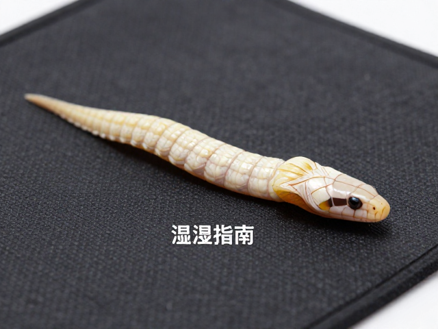 蛇蜕皮护理指南,湿度控40-60%与加热垫正确放置法