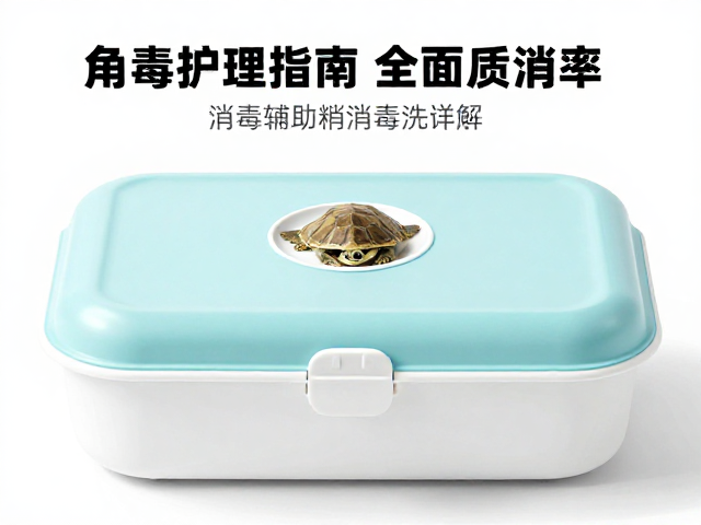乌龟蜕皮护理指南,保湿盒辅助与全面消毒频率详解