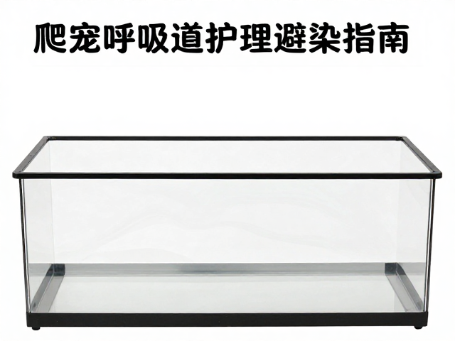 爬宠密盖饲养箱防呼吸道感染?蜕皮护理避坑指南