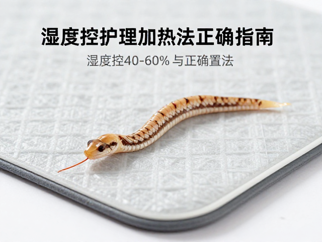 蛇蜕皮护理指南，湿度控40-60%与加热垫正确放置法