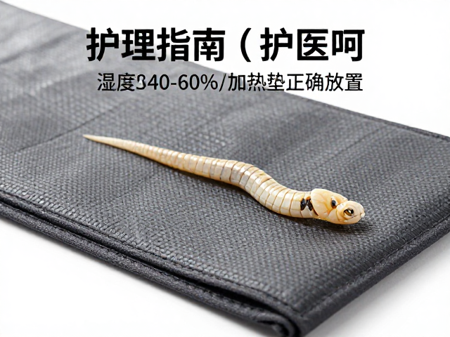 蛇蜕皮护理指南，湿度控40-60%与加热垫正确放置法