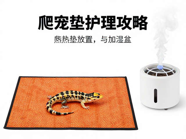 爬宠蜕皮护理攻略,加热垫放置与加湿盒使用技巧