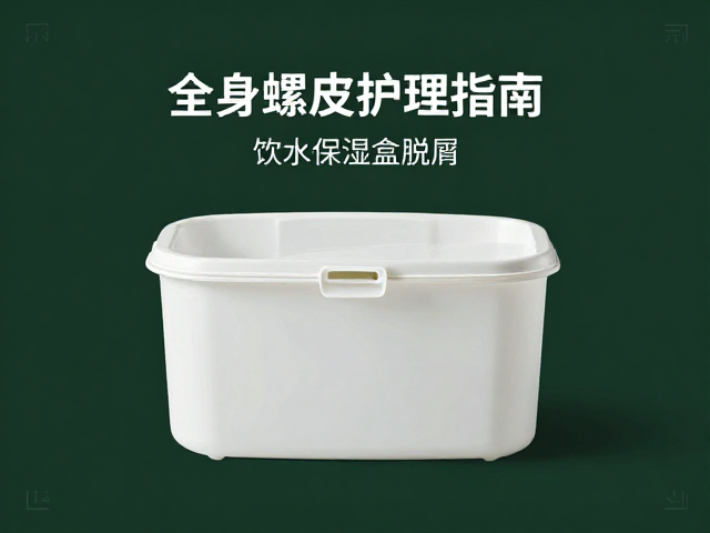 全身蜕皮护理指南,饮水保湿盒辅助,告别干燥脱屑