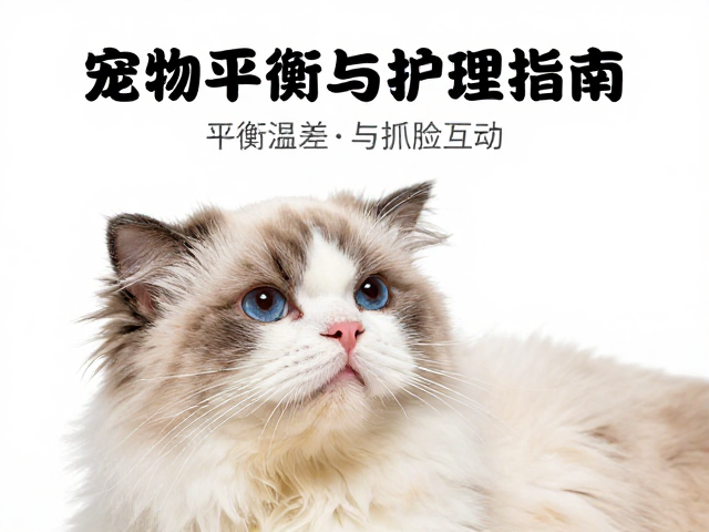 宠物蜕皮护理指南,如何平衡温差与抓握互动