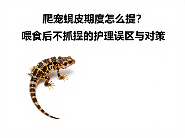 爬宠蜕皮期湿度怎么提？喂食后不抓握的护理误区与对策