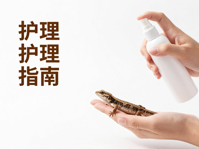 蜥蜴蜕皮护理指南,喷雾保湿与垫材选择全解析