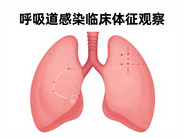 呼吸道感染临床体征观察，压力过大会加重病情？