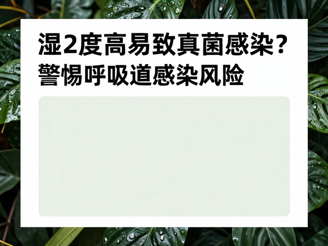 湿度过高易致真菌感染？警惕呼吸道感染风险，科学防护指南