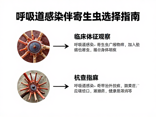 呼吸道感染伴寄生虫感染?临床体征观察与抗寄生虫药选择指南
