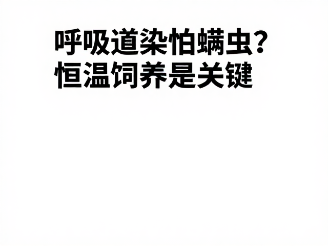呼吸道感染怕螨虫？恒温饲养是关键，专家揭秘防护妙招