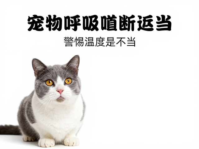 宠物呼吸道感染?警惕温度不当!专业兽医诊断指南