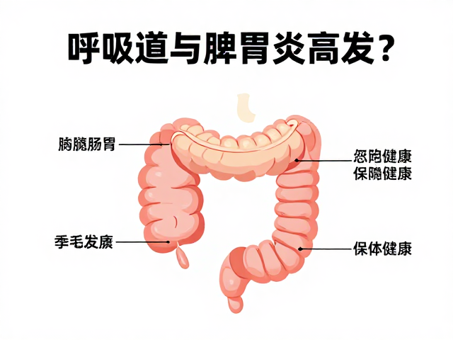 呼吸道与肠胃炎高发?恒温饲养成宠物健康关键