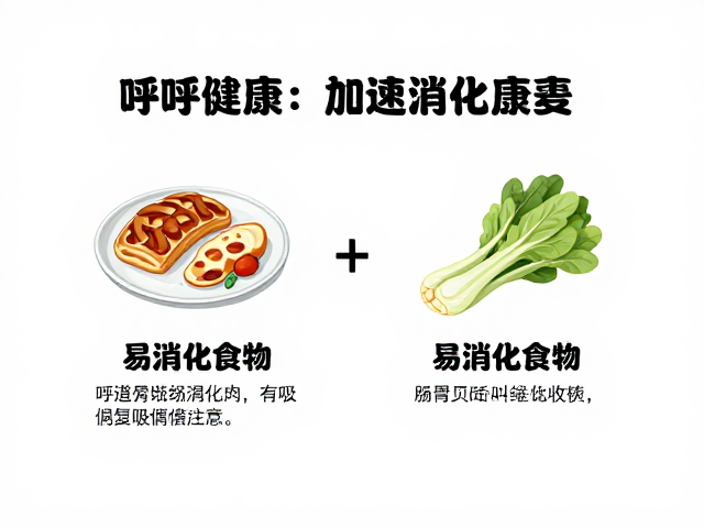 呼吸道感染恢复期,如何通过温差控制与易消化食物加速康复