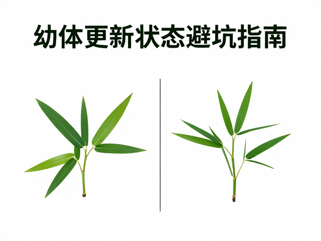 幼体挑选技巧,与竹叶青对比,定期更新状态避坑指南