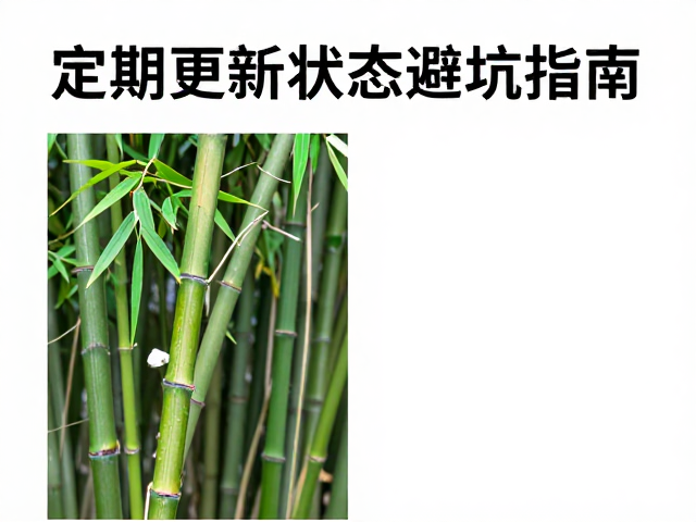 幼体挑选技巧,与竹叶青对比,定期更新状态避坑指南