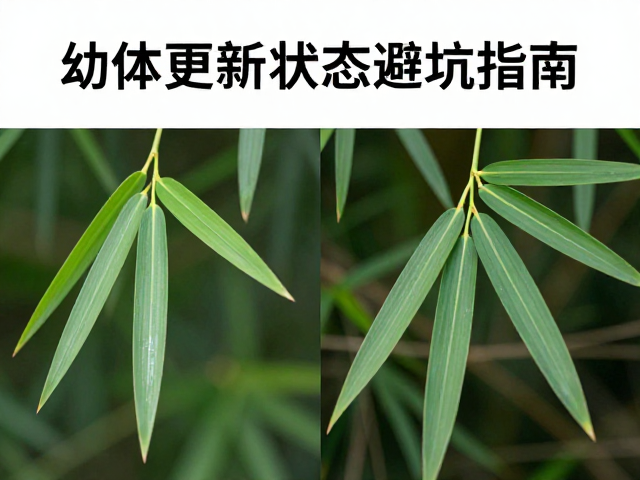 幼体挑选技巧,与竹叶青对比,定期更新状态避坑指南