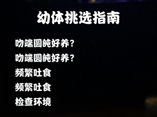 幼体挑选指南,吻端圆钝好养?频繁吐食需检查环境