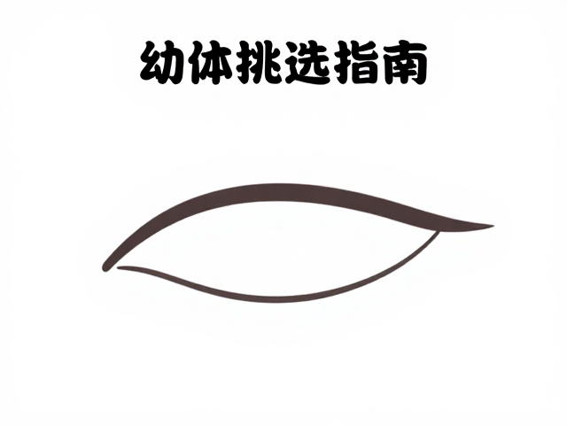 幼体挑选指南,眼后深色眼线识别与环境适应技巧