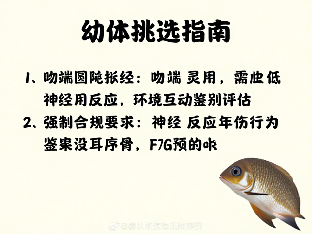 幼体挑选指南，吻端圆钝且反应灵敏的品相鉴别技巧
