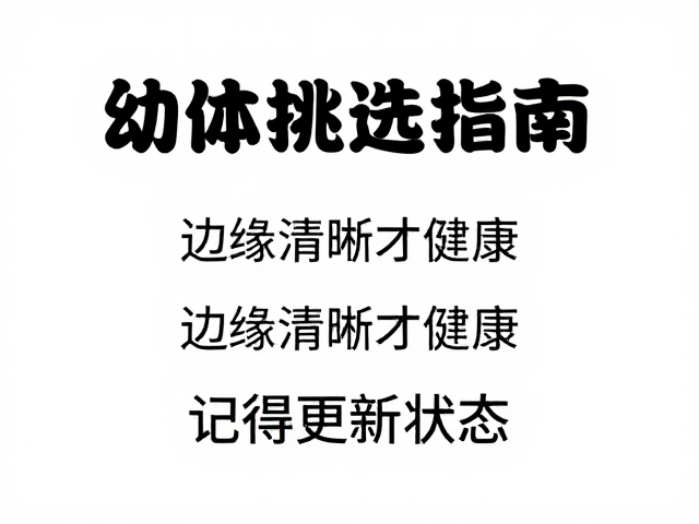 幼体挑选指南,边缘清晰才健康,记得更新状态