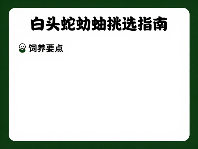 白头蝰幼体挑选指南,快速适应环境与饲养要点