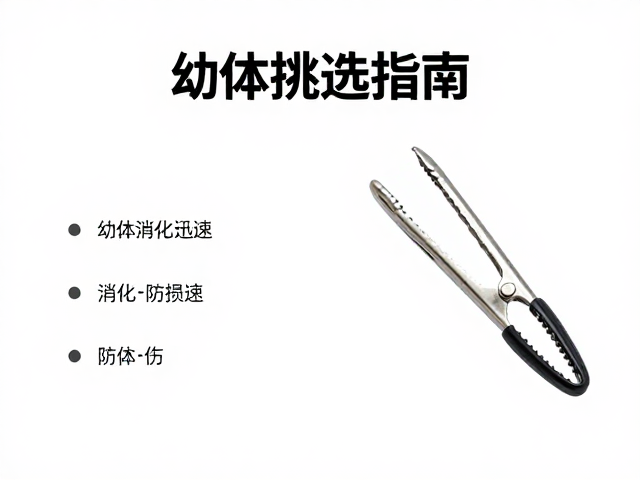 幼体挑选指南,消化迅速需配专业夹持工具防损伤