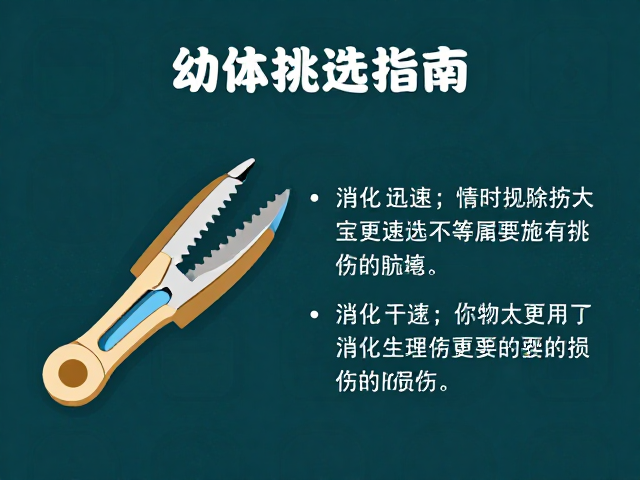 幼体挑选指南,消化迅速需配专业夹持工具防损伤