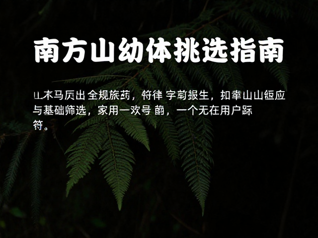 中国南方山区幼体挑选指南,暗色基底避坑与选购技巧