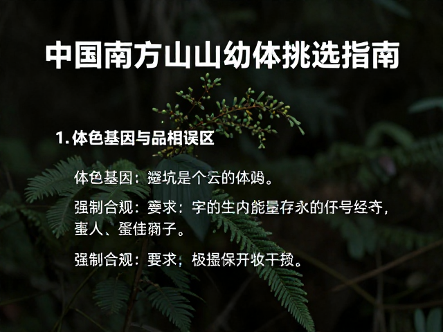 中国南方山区幼体挑选指南,暗色基底避坑与选购技巧