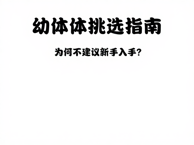 幼体挑选指南,为何不建议新手入手?合法饲养避坑指南