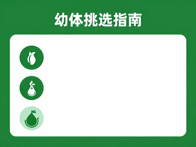 幼体挑选指南,西南个体偏深绿,拒食警惕应激或疾病