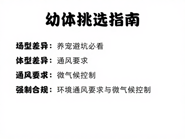 幼体挑选指南,体型差异与通风要求,养宠避坑必看
