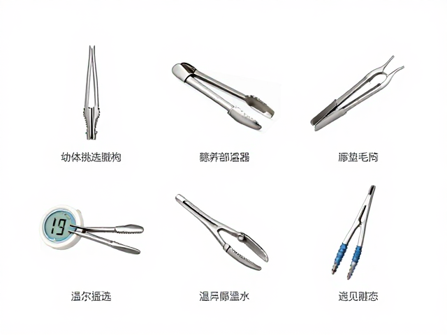 幼体挑选与养护,温湿度计监测,专业夹持工具操作指南