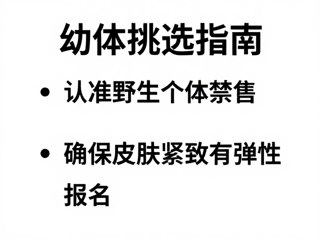 幼体挑选指南,认准野生个体禁售,确保皮肤紧致有弹性