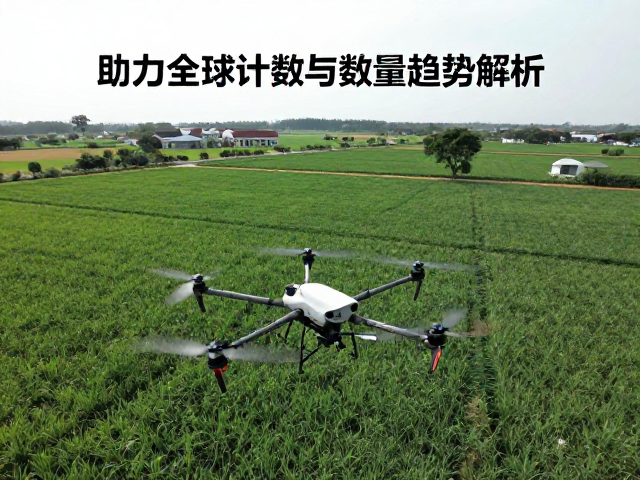 无人机航拍助力全球种群普查,精准计数与数量趋势解析