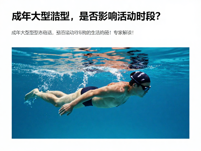成年体型定型后水中游动是否影响活动时段?专家解读