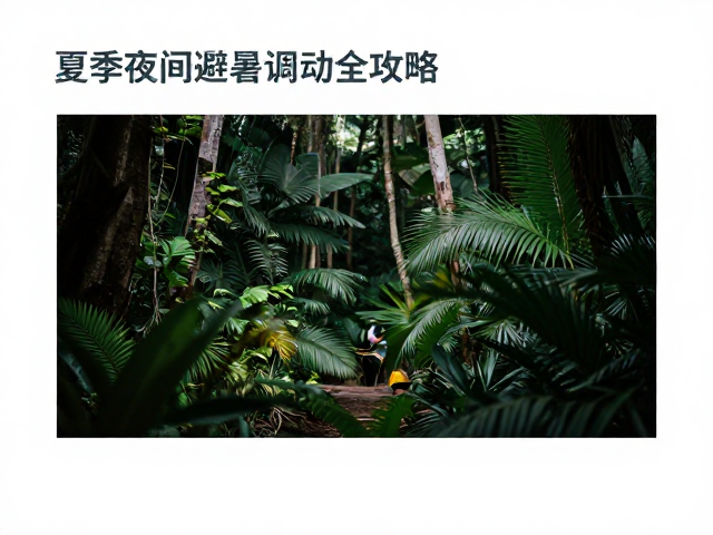 热带雨林底层微环境调控,夏季夜间避暑活动全攻略