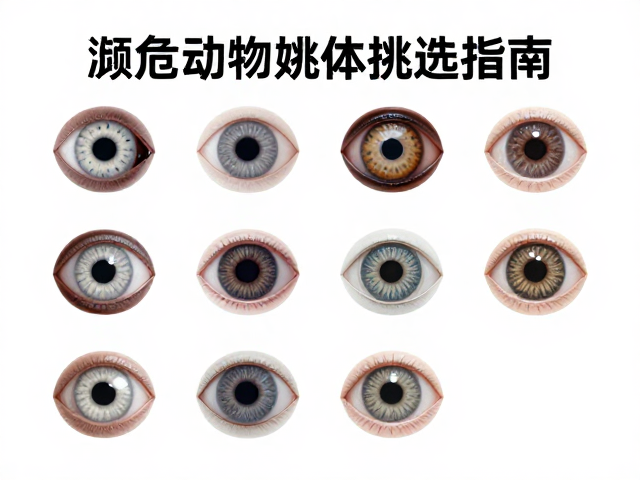 濒危动物幼体挑选指南，如何通过眼斑识别健康个体