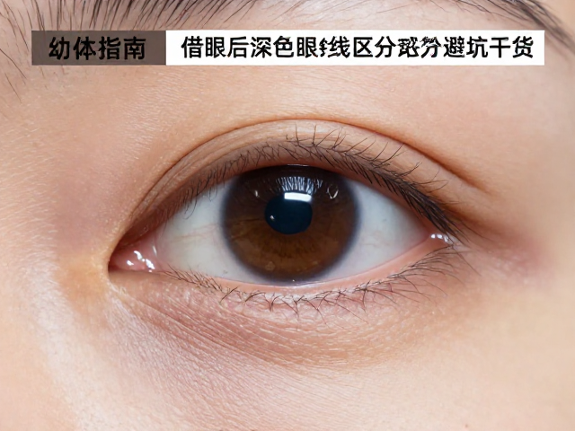 幼体挑选指南,借眼后深色眼线区分翠青蛇,避坑干货