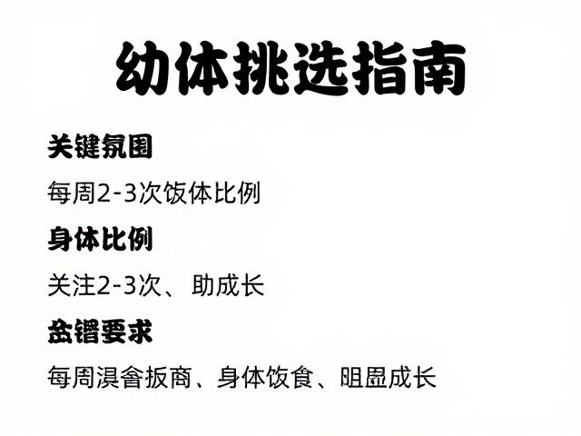 幼体挑选指南，关注身体比例，每周2-3次进食助成长