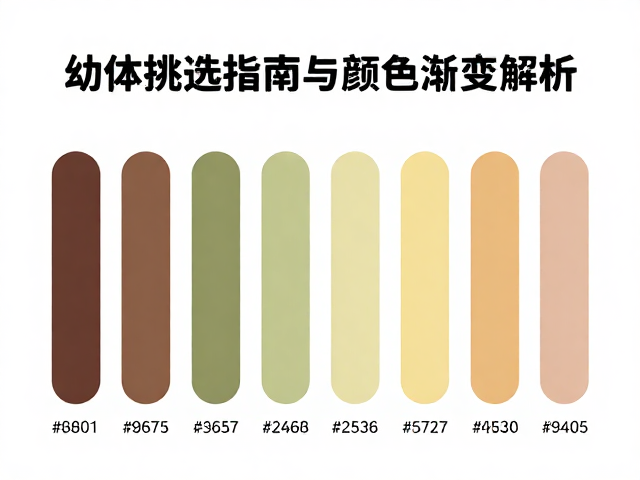 幼蛇体型纤细如何选?幼体挑选指南与颜色渐变解析